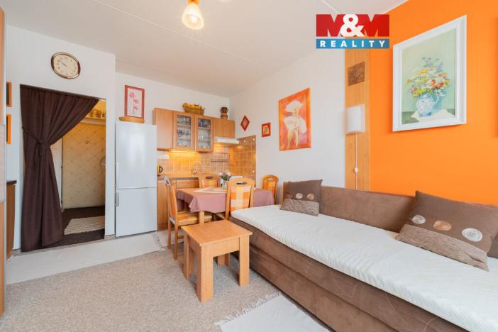 Prodej bytu 1+kk, Cheb, Přátelství, 24 m2