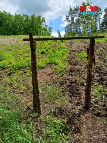 Prodej lesa, Hrazany - Klisinec, 9634 m2