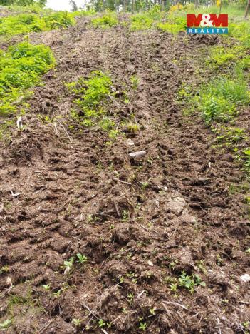 Prodej lesa, Hrazany - Klisinec, 9634 m2