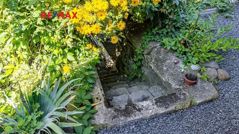 Prodej komerční nemovitosti, Dolní Podluží, 537 m2