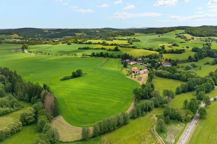 Prodej zemědělské usedlosti, Popovice, 718 m2