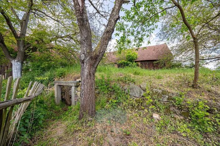 Prodej zemědělské usedlosti, Velká Bíteš, 850 m2