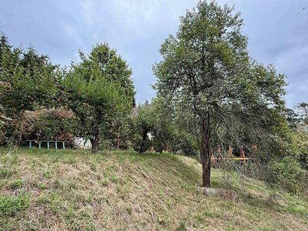 Prodej chaty, Nespeky, 50 m2