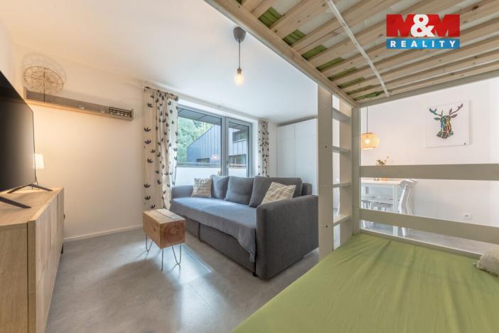 Prodej bytu 1+kk, Janov nad Nisou, 29 m2