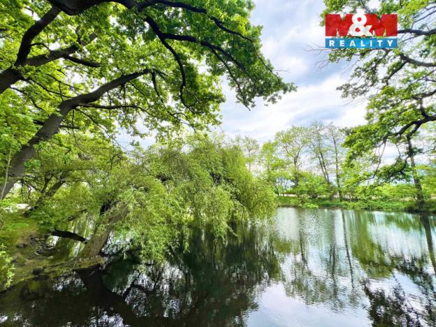 Prodej rybníku, Žulová, 7142 m2