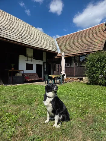 Prodej chalupy, Střelná, 150 m2