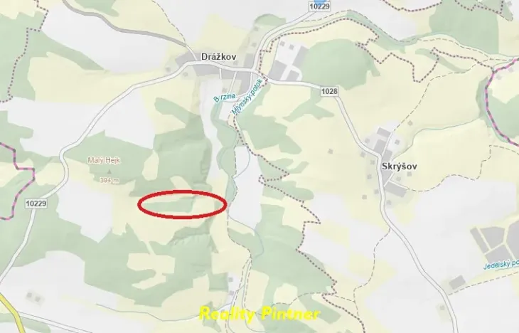 Prodej lesa, Svatý Jan, 11743 m2