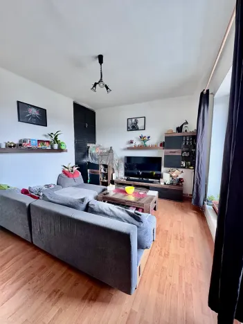 Prodej bytu 2+1, Brno, Zemědělská, 50 m2