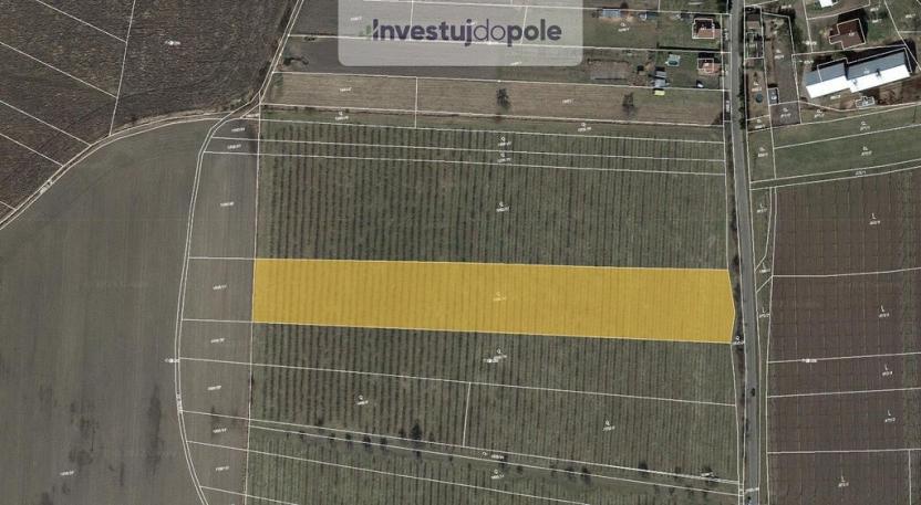 Prodej pole, Liběšice - Soběnice, 6199 m2