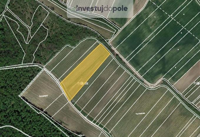 Prodej pole, Dolní Věstonice, 1767 m2