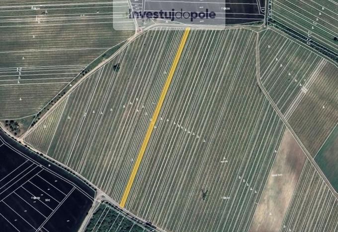 Prodej pole, Starovičky, 2561 m2