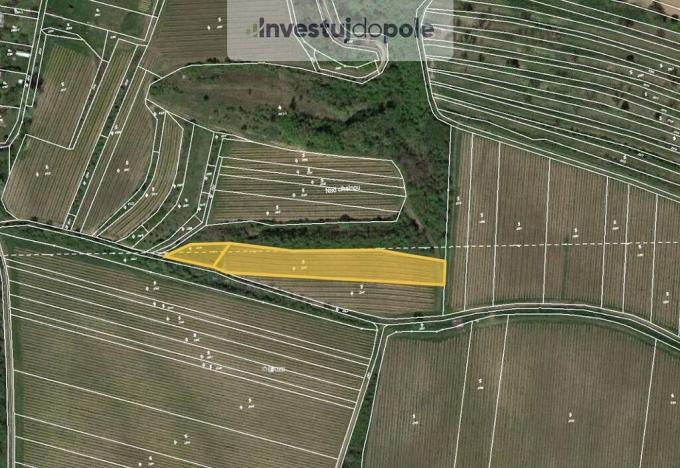 Prodej pole, Dolní Věstonice, 747 m2