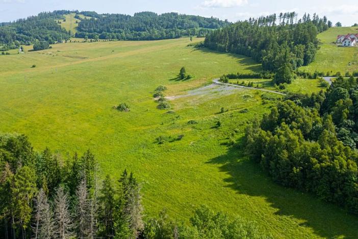 Prodej komerčního pozemku, Václavov u Bruntálu, 5497 m2