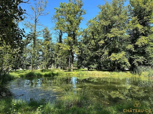 Prodej bytu 3+kk, Býchory, 81 m2