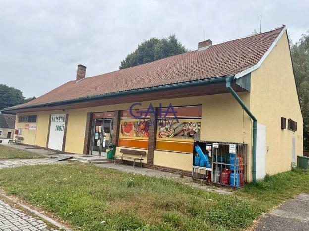Prodej obchodního prostoru, Suchdol nad Lužnicí, Husova, 401 m2