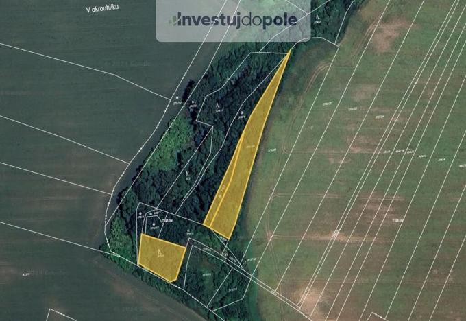 Prodej pole, Plaňany, 3546 m2