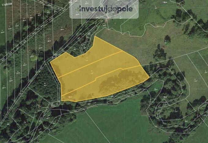Prodej louky, Janovice nad Úhlavou - Petrovice nad Úhlavou, 16774 m2
