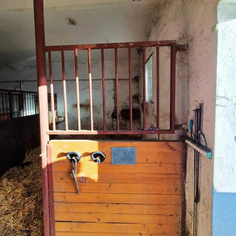 Pronájem pozemku, Straškov-Vodochody, 13702 m2