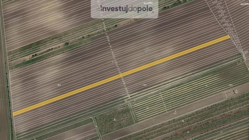 Prodej pole, Velké Pavlovice, 3452 m2