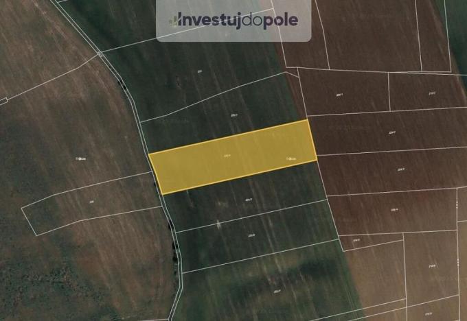 Prodej pole, Dobříč, 2910 m2