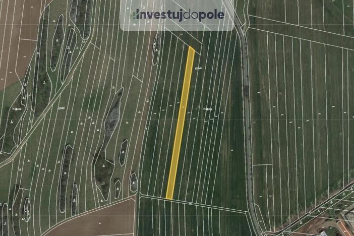 Prodej pole, Ostrov u Macochy, 3708 m2