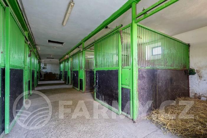 Prodej zemědělské usedlosti, Březnice, 300 m2