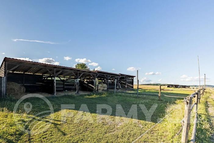 Prodej zemědělské usedlosti, Březnice, 300 m2