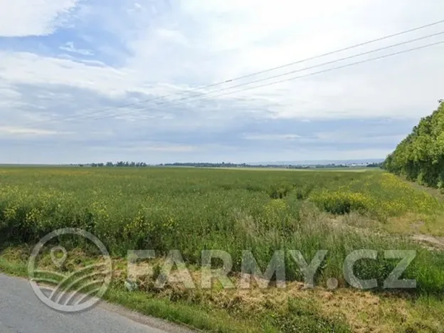 Prodej pole, Vyškov, 11396 m2