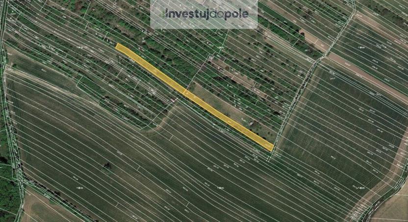 Prodej pole, Klobouky u Brna, 2027 m2