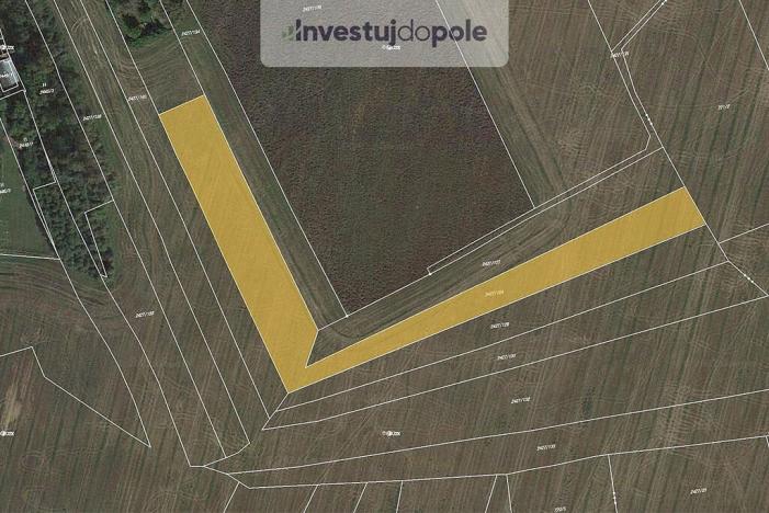 Prodej pole, Třemošná, 7281 m2