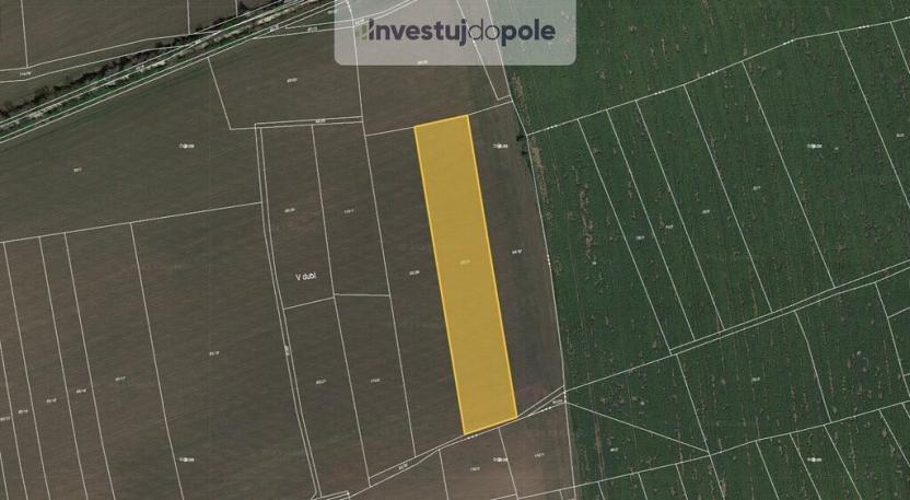 Prodej pole, Nučice, 6542 m2