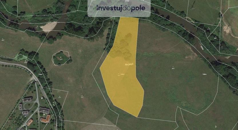Prodej louky, Třebechovice pod Orebem - Krňovice, 7720 m2