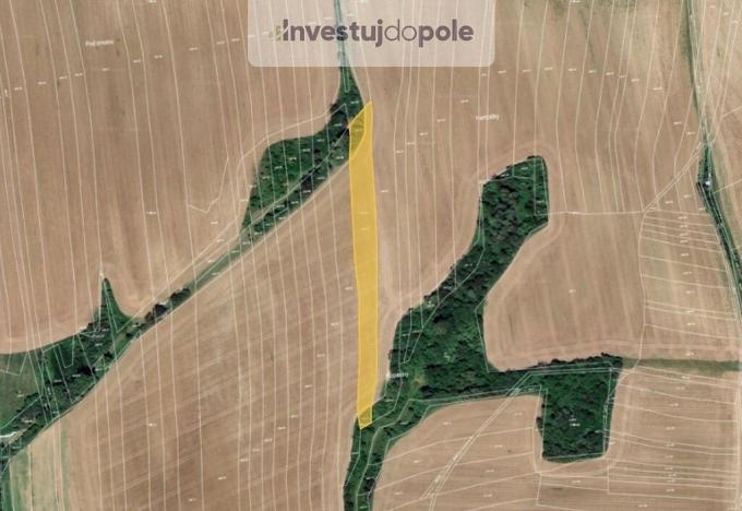 Prodej pole, Zborovice - Medlov, 5441 m2
