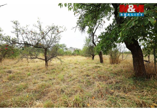 Prodej zahrady, Olomouc, Hollarova, 2281 m2