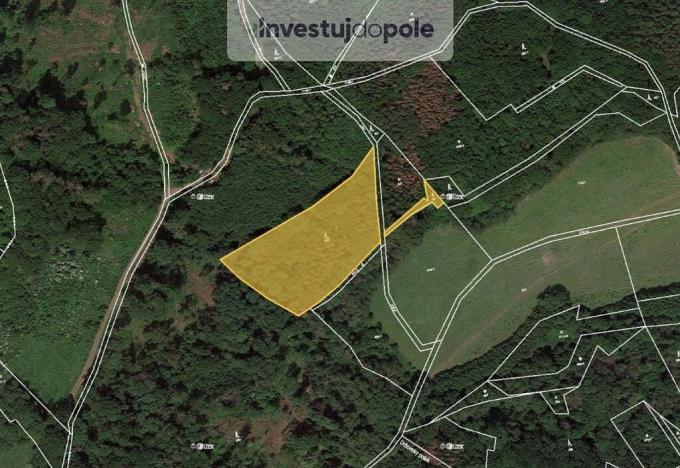 Prodej lesa, Úštěk - Držovice, 4976 m2