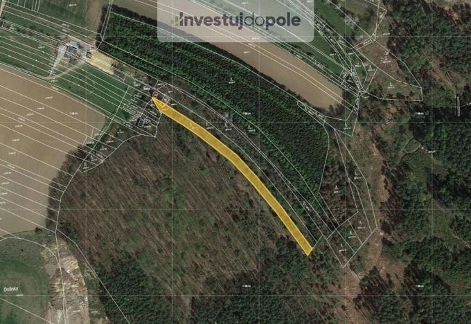 Prodej lesa, Boskovice, Šemberova, 1395 m2