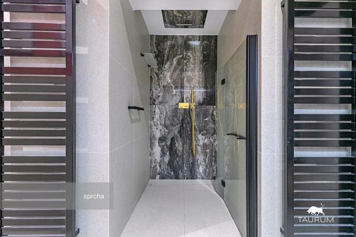 Prodej bytu 4+kk, Plzeň, Koperníkova, 157 m2