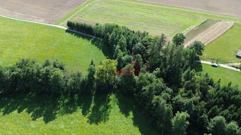 Prodej pozemku, Jeřišno, 2804 m2