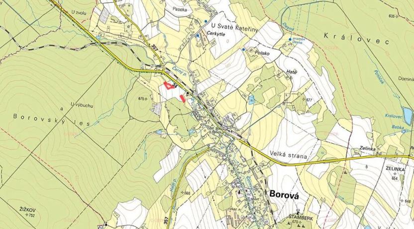 Prodej komerčního pozemku, Borová, 4941 m2