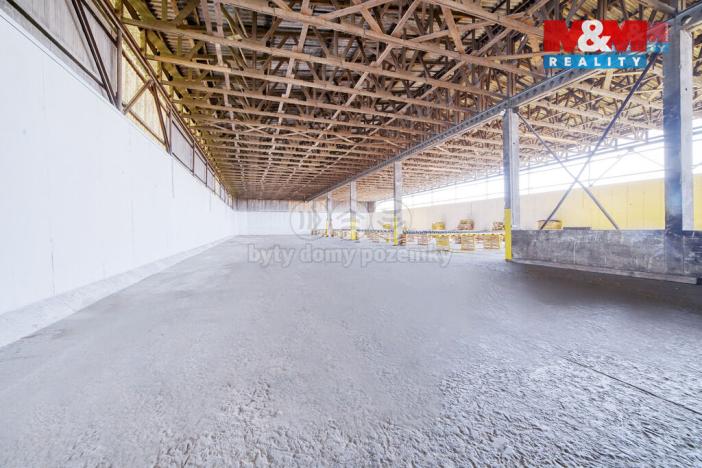 Pronájem výrobních prostor, Horní Lukavice, 100 m2