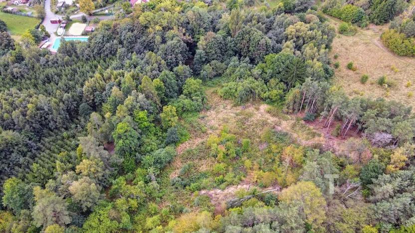 Prodej pozemku, Kunštát, 10775 m2