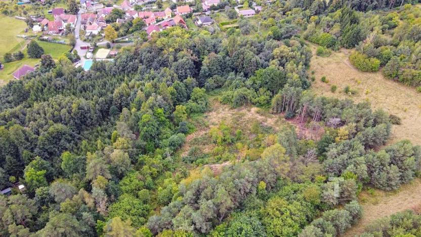 Prodej pozemku, Kunštát, 10775 m2