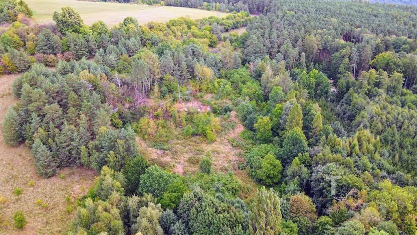 Prodej pozemku, Kunštát, 10775 m2