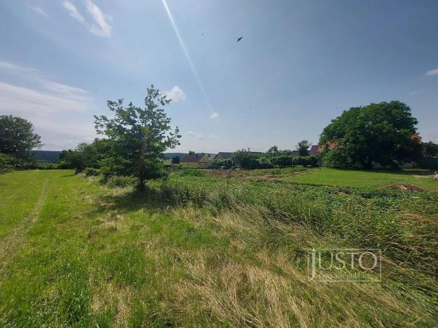 Prodej pozemku pro bydlení, Dražíč, 2918 m2