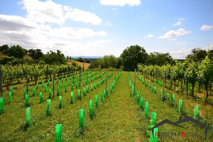 Prodej sadu/vinice, Bzenec, 2460 m2