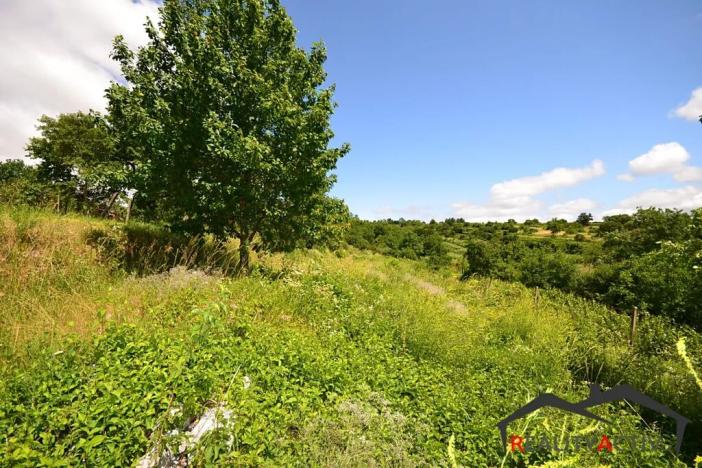 Prodej sadu/vinice, Bzenec, 2460 m2