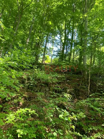 Prodej lesa, Třinec, 102140 m2