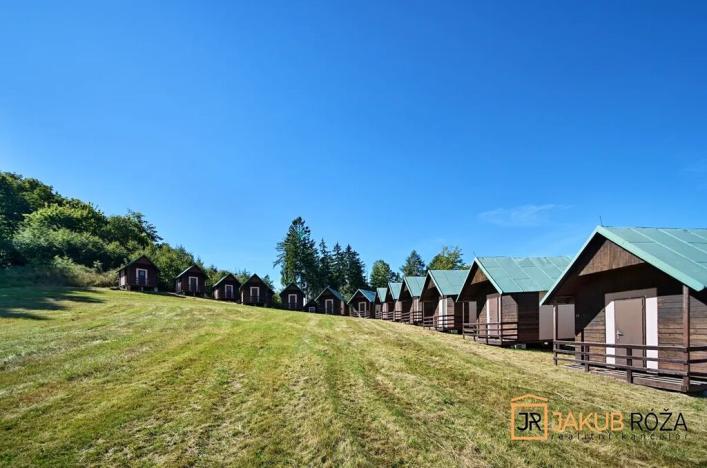 Prodej komerčního pozemku, Heřmánkovice, 40632 m2