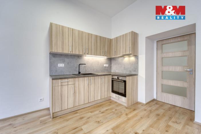 Pronájem bytu 1+kk, Plzeň - Jižní Předměstí, Americká, 59 m2