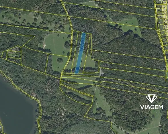 Prodej podílu lesa, Praha - Hostivař, 1302 m2